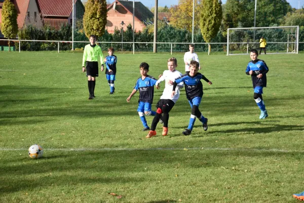 04.11.2023 SG FV BW Niederz. 1 vs. FC Empor Weimar 06 II