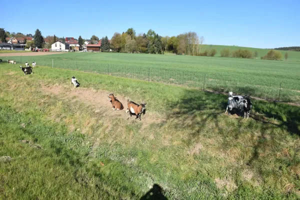02.05.2026 FSV GW Blankenhain vs. FC Empor Weimar 06 III