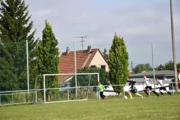 16.08.2025 SG BW Niederzimmern III vs. FC Empor Weimar 06 III