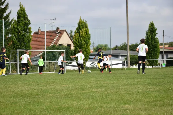 16.08.2025 SG BW Niederzimmern III vs. FC Empor Weimar 06 III