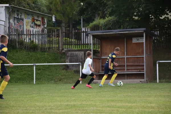 16.08.2025 SG BW Niederzimmern III vs. FC Empor Weimar 06 III