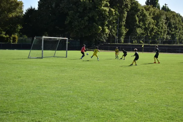 29.08.2026 FC Empor Weimar 06 vs. SG Wachs. Haarhausen