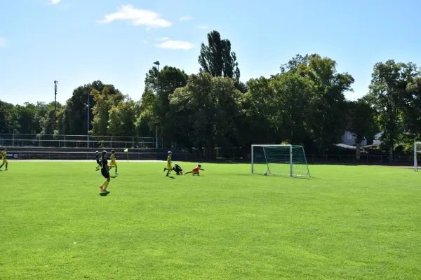 29.08.2026 FC Empor Weimar 06 vs. SG Wachs. Haarhausen