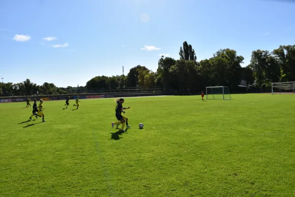 29.08.2026 FC Empor Weimar 06 vs. SG Wachs. Haarhausen