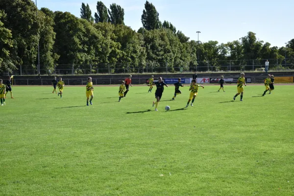 29.08.2026 FC Empor Weimar 06 vs. SG Wachs. Haarhausen
